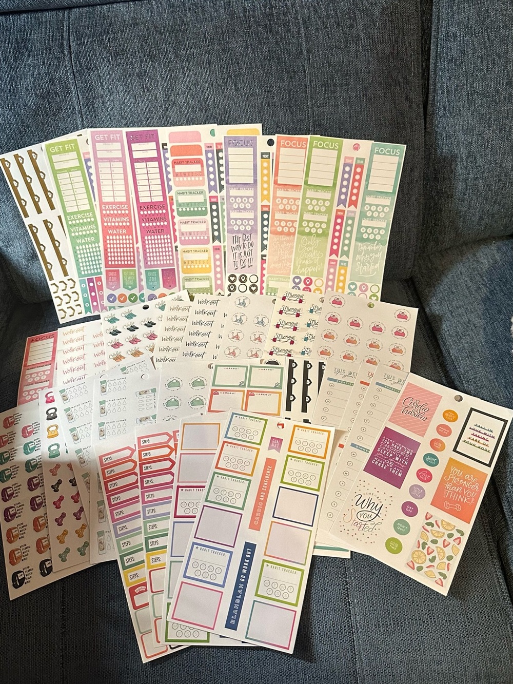The Happy Planner Fitness Loose sheet Sticker Bundle